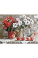 Картина по номерам на подрамнике «Герань» 80x60 см