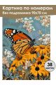 Картина по номерам без подрамника «Бабочка» 90x70 см