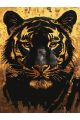 Картина по номерам на подрамнике «Золотой тигр» 90x70 см