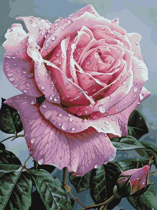 Картина по номерам без подрамника «Розовая роза» 90x70 см