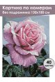 Картина по номерам без подрамника «Розовая роза» 130x100 см