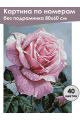 Картина по номерам без подрамника «Розовая роза» 80x60 см