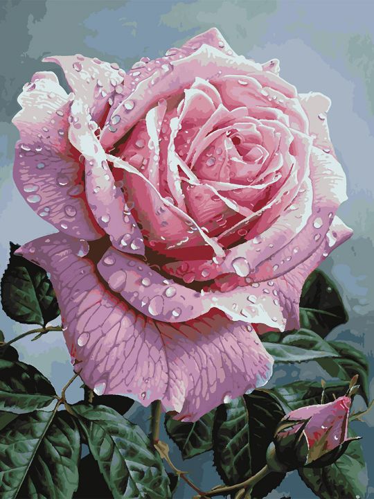 Картина по номерам без подрамника «Розовая роза» 80x60 см