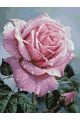 Картина по номерам без подрамника «Розовая роза» 80x60 см