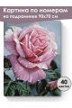Картина по номерам на подрамнике «Розовая роза» 90x70 см