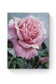 Картина по номерам на подрамнике «Розовая роза» 90x70 см