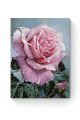 Картина по номерам на подрамнике «Розовая роза» 80x60 см