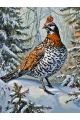 Картина по номерам на подрамнике «Рябчик в лесу» 80x60 см