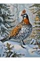 Картина по номерам без подрамника «Рябчик в лесу» 80x60 см
