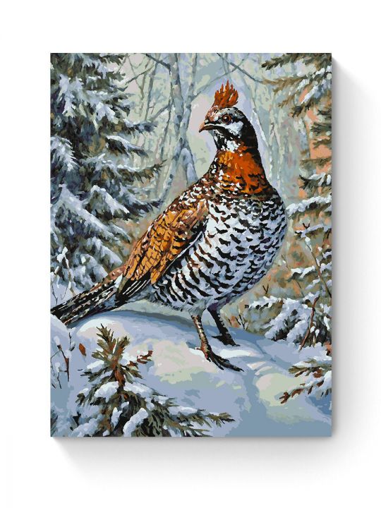 Картина по номерам на подрамнике «Рябчик в лесу» 90x70 см
