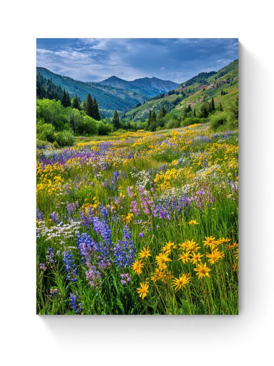 Алмазная мозаика на подрамнике «Горная долина» 90x70 см