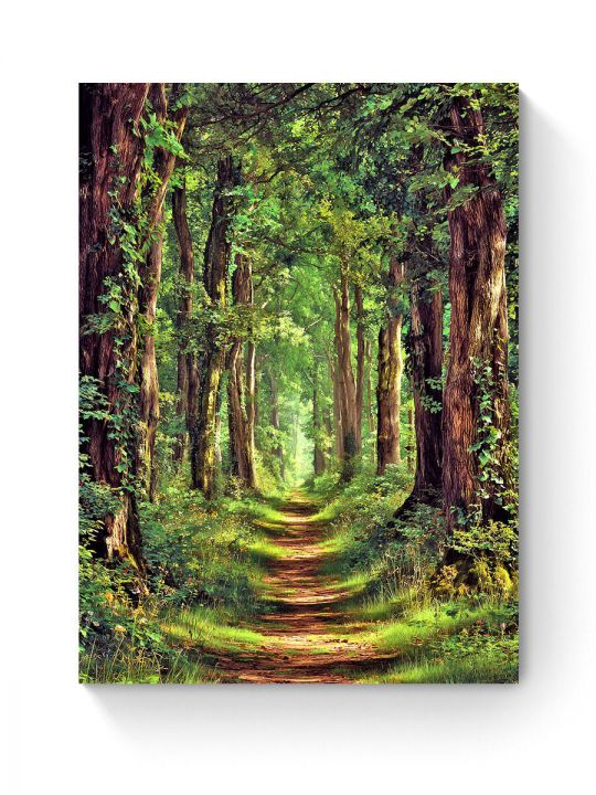 Алмазная мозаика на подрамнике «Дубовая роща» 70x50 см