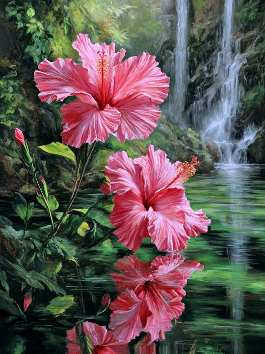 Алмазная мозаика без подрамника «Цветы гибискуса» 50x40 см