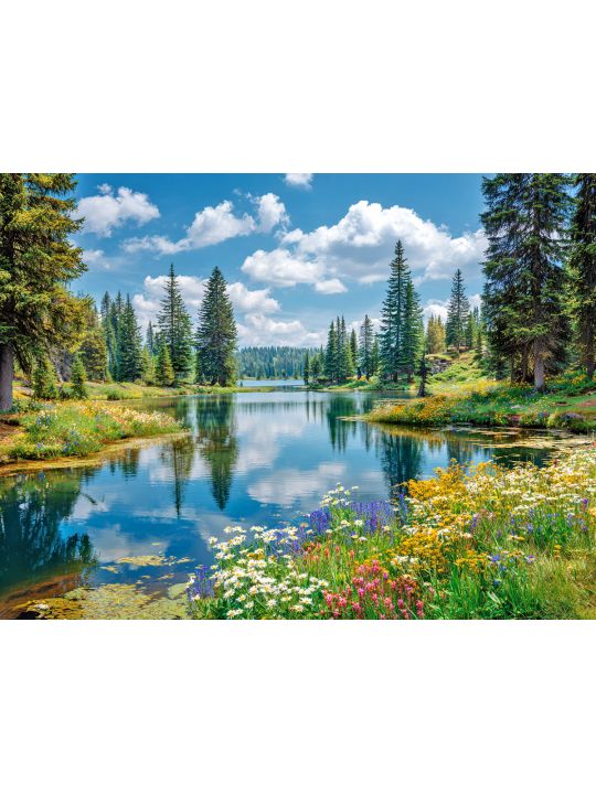 Алмазная мозаика без подрамника «Лесное озеро» 50x40 см, 50 цветов