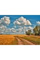 Алмазная мозаика без подрамника «Пшеничное поле» 50x40 см