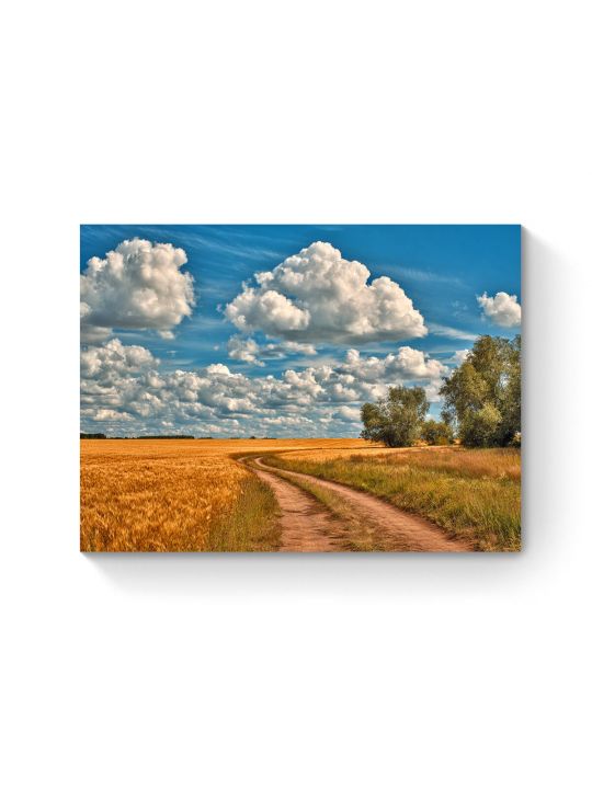 Алмазная мозаика на подрамнике «Пшеничное поле» 40x30 см