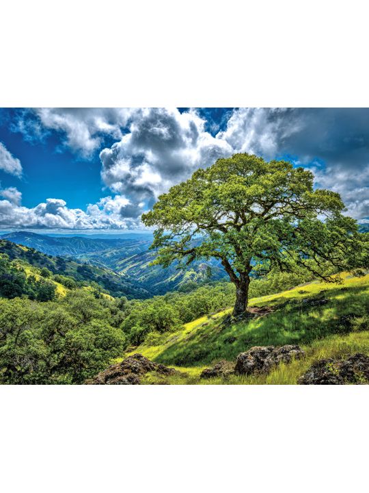 Алмазная мозаика без подрамника «Зеленые холмы» 90x70 см