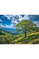 Алмазная мозаика без подрамника «Зеленые холмы» 130x100 см