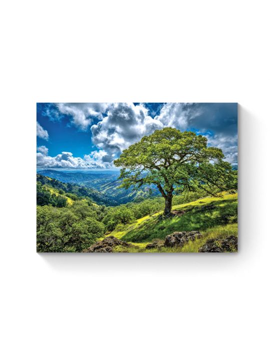 Алмазная мозаика на подрамнике «Зеленые холмы» 70x50 см