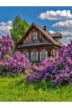 Алмазная мозаика без подрамника «Деревянный дом» 70x50 см