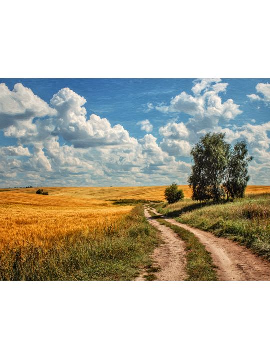 Алмазная мозаика без подрамника «Дорога в поле» 130x100 см