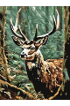 Картина по номерам на подрамнике «Олень в лесу» 35x25 см
