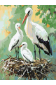 Картина по номерам без подрамника «Аисты» 35x25 см