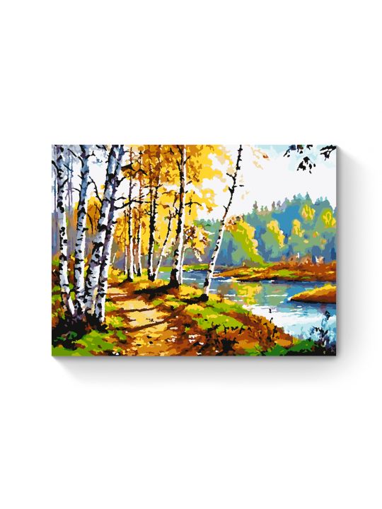 Картина по номерам на подрамнике «Дорога в лес» 35x25 см