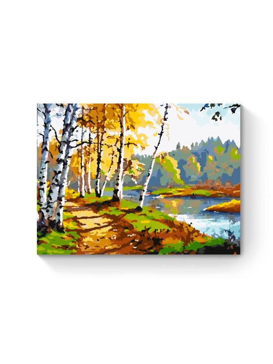 Картина по номерам на подрамнике «Дорога в лес» 25x20 см