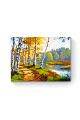 Картина по номерам на подрамнике «Дорога в лес» 25x20 см