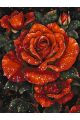 Картина по номерам без подрамника «Красные розы» 80x60 см