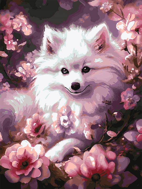 Картина по номерам без подрамника «Белый шпиц» 35x25 см