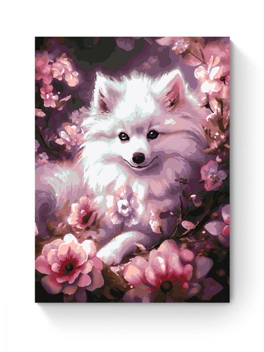 Картина по номерам на подрамнике «Белый шпиц» 35x25 см