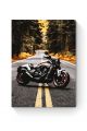 Картина по номерам на подрамнике «Мотоцикл» 35x25 см