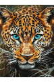 Картина по номерам на подрамнике «Леопард» 35x25 см