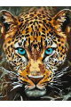 Картина по номерам без подрамника «Леопард» 25x20 см