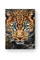Картина по номерам на подрамнике «Леопард» 35x25 см