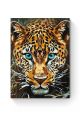 Картина по номерам на подрамнике «Леопард» 25x20 см