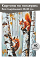 Картина по номерам без подрамника «Две белочки» 35x25 см