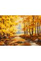 Картина по номерам на подрамнике «Осенний парк» 80x60 см