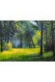 Картина по номерам на подрамнике «Лесная поляна» 90x70 см
