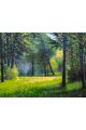 Картина по номерам без подрамника «Лесная поляна» 130x100 см