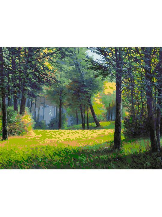Картина по номерам без подрамника «Лесная поляна» 80x60 см