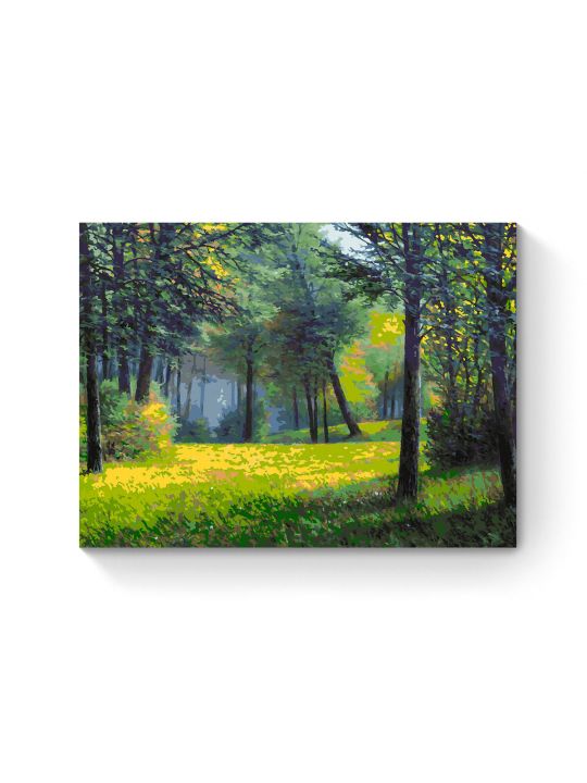 Картина по номерам на подрамнике «Лесная поляна» 90x70 см