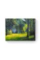 Картина по номерам на подрамнике «Лесная поляна» 90x70 см