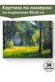 Картина по номерам на подрамнике «Лесная поляна» 80x60 см