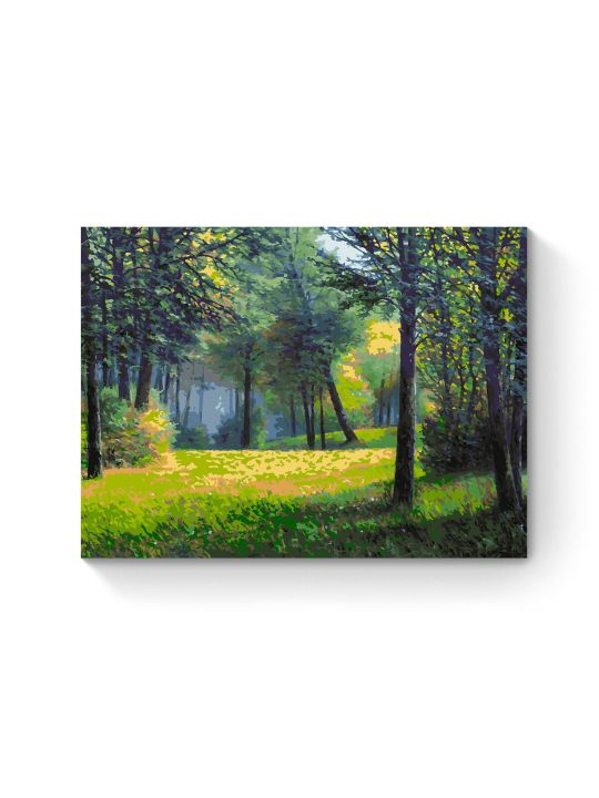 Картина по номерам на подрамнике «Лесная поляна» 80x60 см