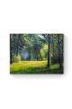Картина по номерам на подрамнике «Лесная поляна» 80x60 см