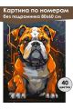 Картина по номерам без подрамника «Бульдог» 80x60 см