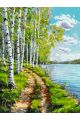 Картина по номерам без подрамника «Березы у воды» 90x70 см